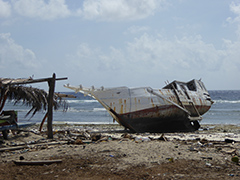 sulawesi